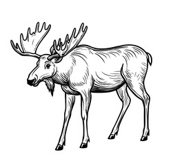 A striking outline of a moose highlighting its unique antlers and physique, perfect for designs centered around wildlife