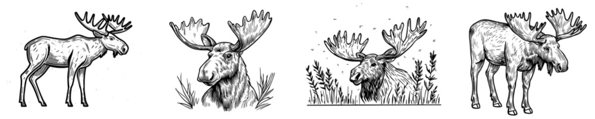 A dramatic outline of a moose, highlighting its impressive antlers and sturdy physique, perfect for designs centered around nature