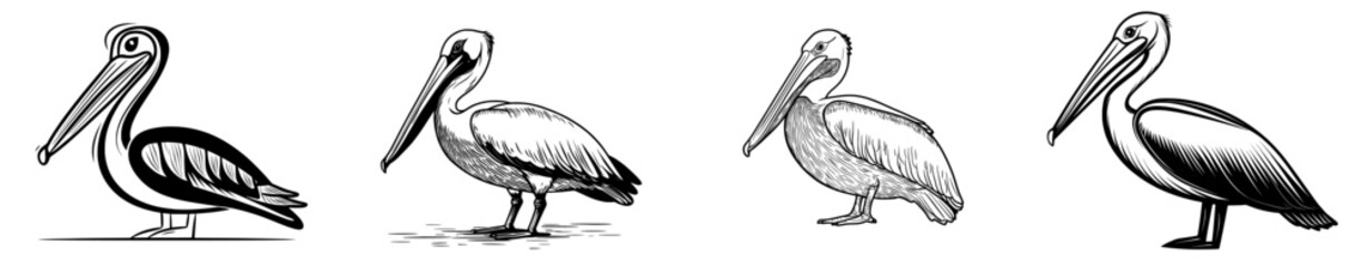 A dark outline of a pelican highlighting its uniquely long beak and wings, perfect for themes related to wildlife and nature