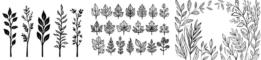 Fototapeta premium A assortment of black leaf silhouettes in diverse shapes and sizes, perfect for botanical designs or nature-themed projects