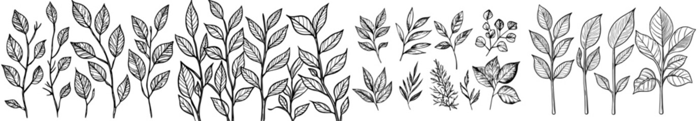 A set of dark outline leaves and plants, perfect for botanical designs and nature-inspired initiatives