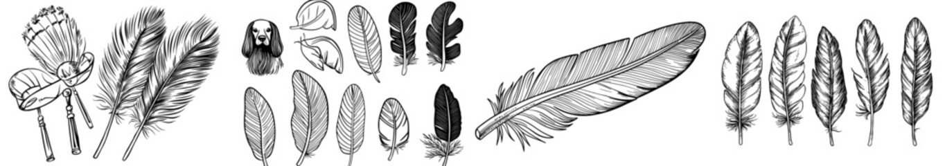 Obraz premium A assortment of diverse black silhouette feathers is displayed, highlighting distinctive shapes and patterns ideal for artistic and decorative uses