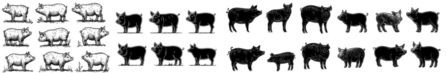 A set of black pig silhouettes in different poses, perfect for farm-inspired designs and artwork