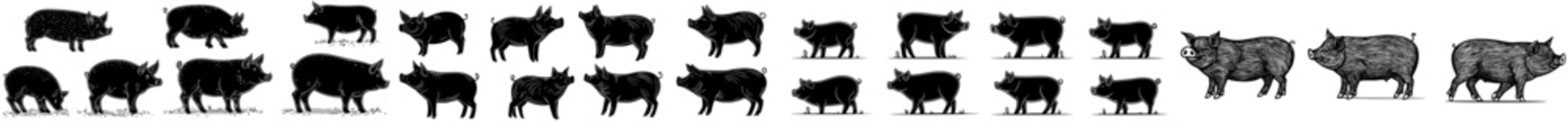 Naklejka premium A set of whimsical black silhouette pig illustrations, ideal for farm-inspired designs or agricultural visual elements