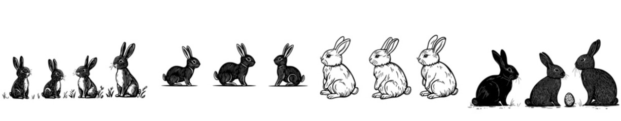 A compilation of black rabbit outlines displaying diverse postures and viewpoints, ideal for graphic design and illustration undertakings