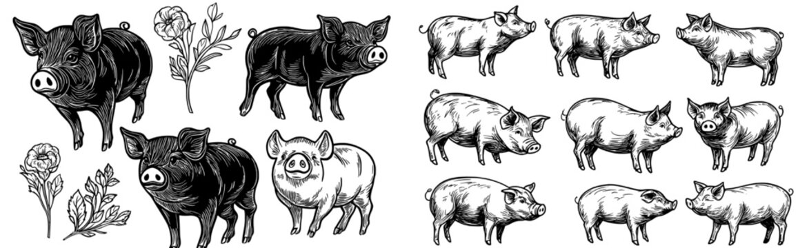 Black silhouette illustrations of pigs in multiple poses, great for use in farm-themed graphic designs and artwork