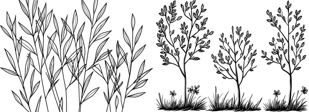 A compilation of refined botanical outlines showcasing an assortment of leaves and branches ideal for decoration