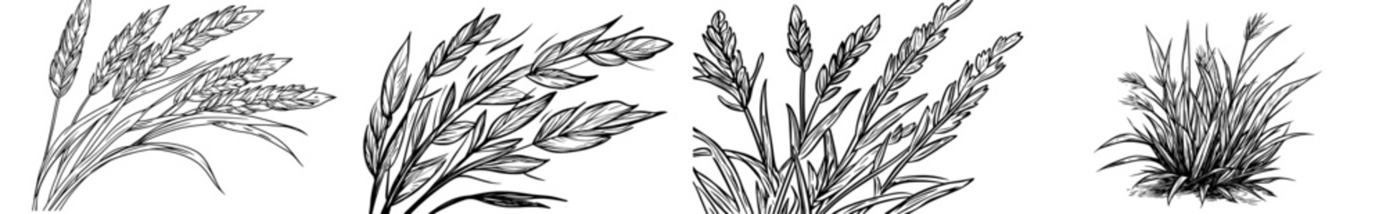 A dark outline of tall grass and wild plants set against a white backdrop, perfect for designs centered around nature