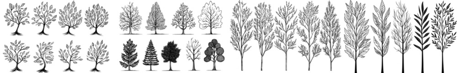 A set of black tree silhouette illustrations in various shapes and styles, perfect for incorporating into nature-inspired designs and visual elements