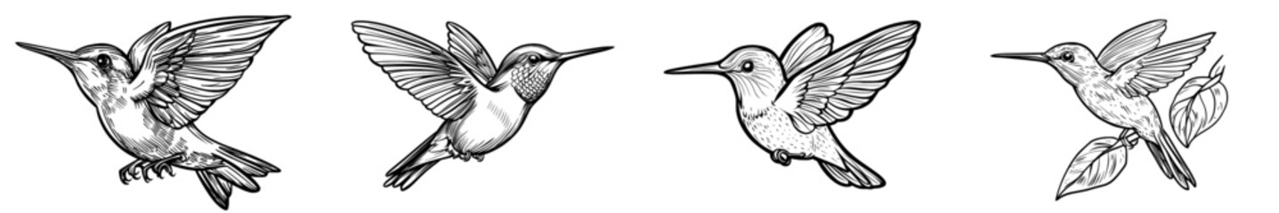 A hummingbird in flight is depicted in a sleek silhouette illustration, highlighting its intricate wings and elegant shape