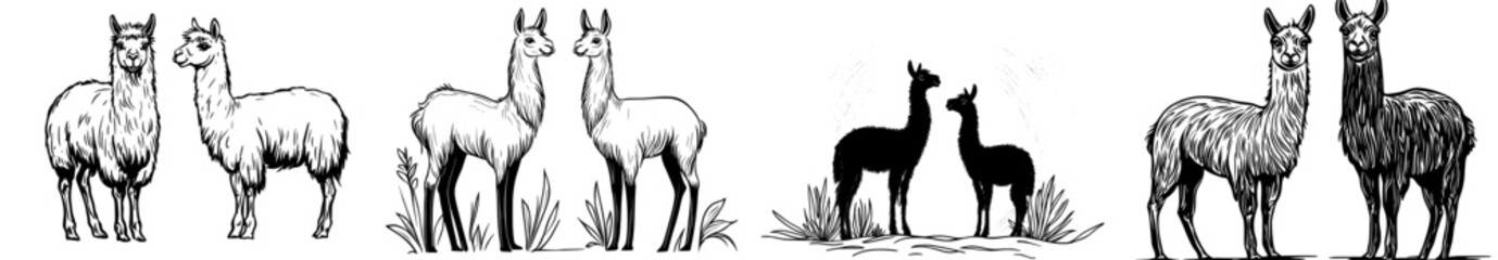 A pair of llamas is shown in silhouette, highlighting their unique characteristics in a modern black and white style