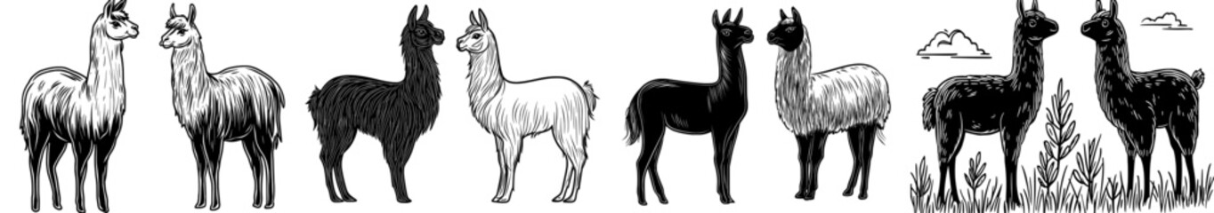 Two stylized llama silhouettes are positioned side by side, suitable for graphic design and projects centered around animals © Andrei