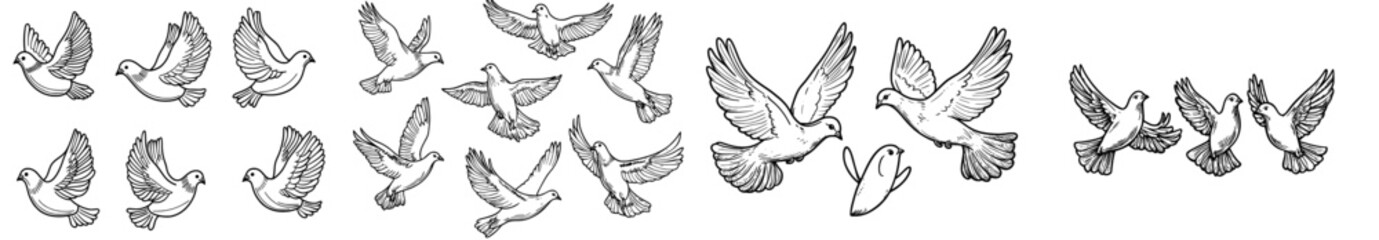 A set of black bird silhouettes in different flying positions, ideal for use in graphic design and illustration projects