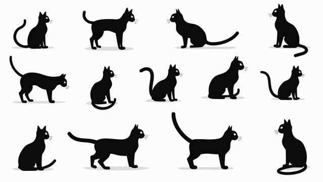 black silhouettes of cats