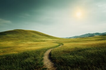 Obraz premium A winding path leads through a grassy field toward a sunlit hill under a calm, greenish sky.