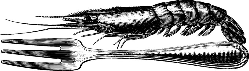 Fototapeta premium Vintage engraving of a shrimp and fork illustration.
