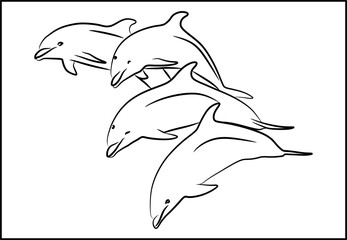 dolphin jumping out of water