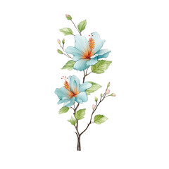 Fototapeta premium Two light blue hibiscus flowers are painted with green leaves on a stem.