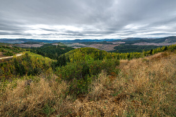 Logging Activities in the Clearwater Mountains Region, ID