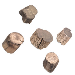 3D rendering illustration of 5 wood logs