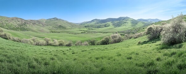 Fototapeta premium Panoramic view of a valley with rolling hills and lush green grass.