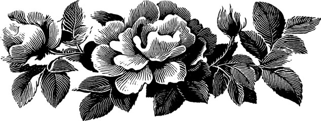 Vintage floral design in 1950s woodcut style for retro print decor