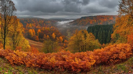 Fototapeta premium Autumnal valley vista with dense foliage and cloudy sky