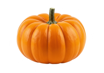 Close up of a small orange pumpkin with a green stem isolated on transparent background