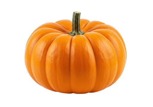 Close up of a small orange pumpkin with a green stem isolated on transparent background