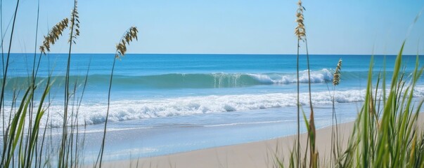 Serene coastal scenery with ocean waves and beach grasses.