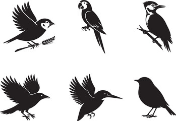 Fototapeta premium A set of six black silhouette illustrations of different bird species