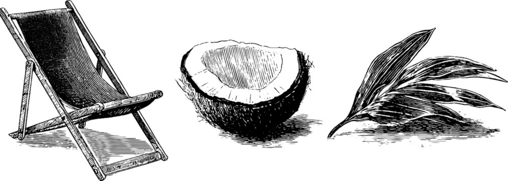 Vintage summer vibes: engraved beach chair, coconut, and palm leaf illustration for tropical design