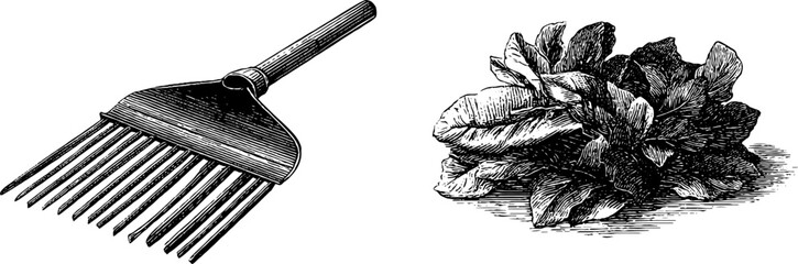 Engraved vintage illustration of rake and pile of leaves for autumn garden design