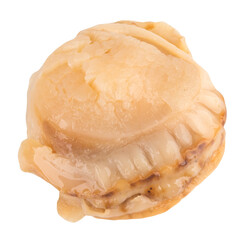 Oyster meat isolated on white background