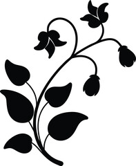 black and white currant