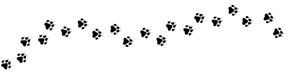 Vector paw trail of dog footprint. Animal tracks in silhouette isolated on white background. Banner with dog, fox, wolf footsteps. © Ulyana Mo