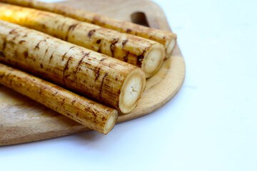 Fresh burdock roots or gobo roots
