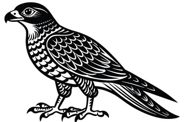 goshawk cartoon vector illustration.