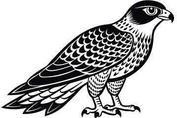 Fototapeta premium goshawk cartoon vector illustration.