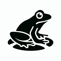 frog on a white background