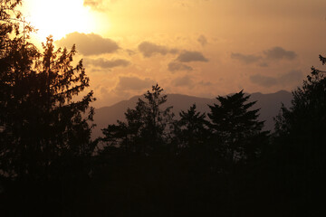 Sunset over silhouettes of trees in the mountains. Natural landscape