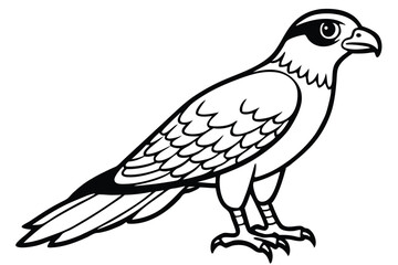 goshawk cartoon vector illustration.