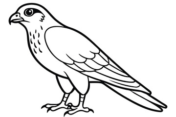 goshawk cartoon vector illustration.