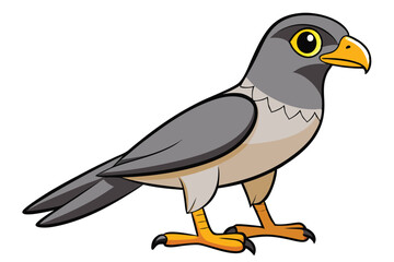 goshawk cartoon vector illustration.