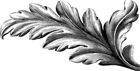 Engraved leaf motif illustration for decorative design and art projects