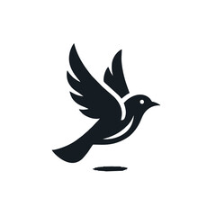 Fototapeta premium A flying Bird.