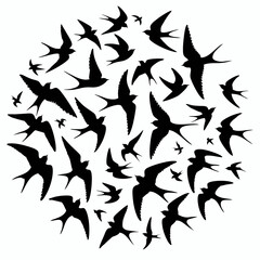 A vector flying birds.