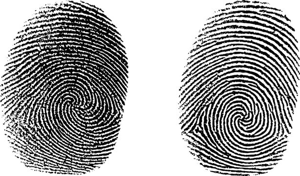 Detailed engraved fingerprint illustrations set for unique design concepts