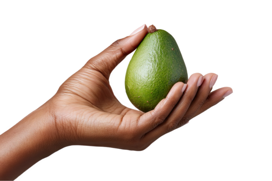A hand holding a fresh ripe green avocado fruit food diet skin leaf meal on transparent background