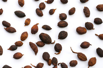 Black Cardamom or Greater Cardamom